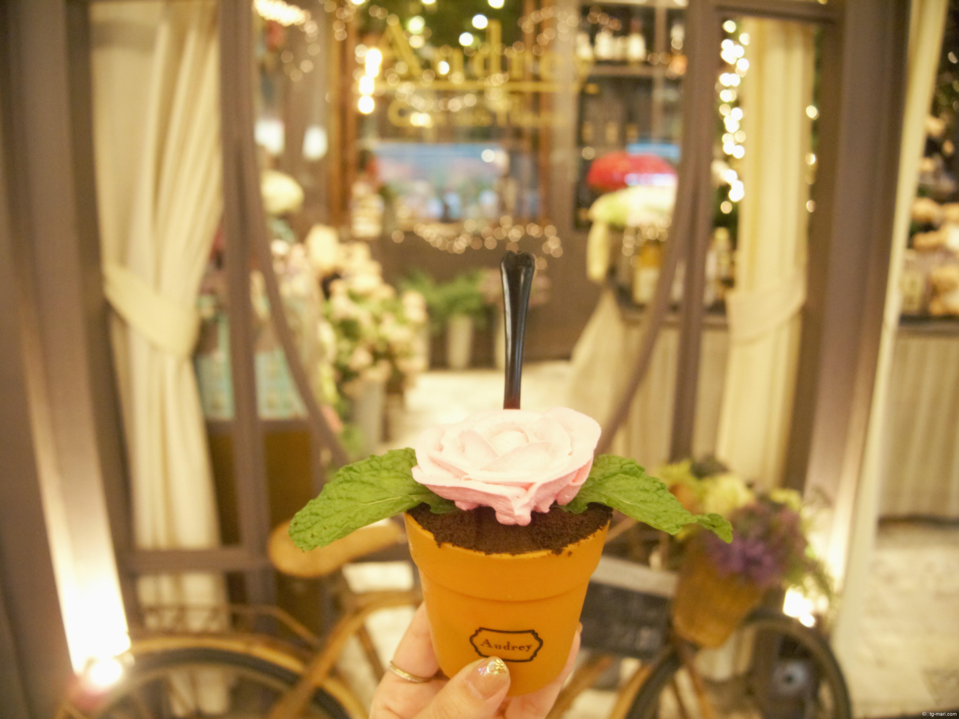 【Audrey Cafe】バンコクのフォトジェニックでインスタ映えする可愛いカフェ