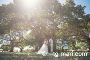 ハワイウェディング