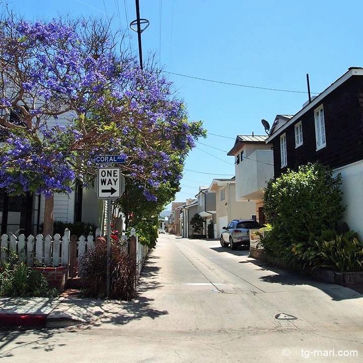 元LA在住の私がオススメする♡ フォトジェニックな欲張りドライブ旅 in カリフォルニア